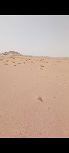 اليتمه