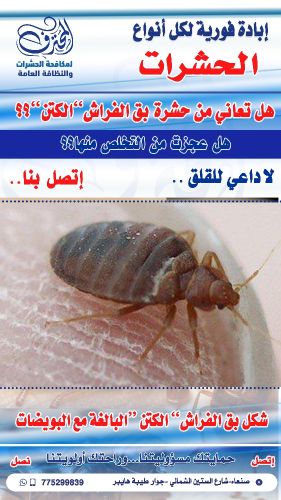 تريد تتخلص من حشرة الكتن تابعنا