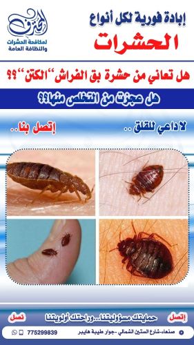 افضل مبيد لمكافحة حشرة الكتن