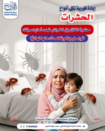 إبادة حشرة بق الفراش الكتن بصنعاء