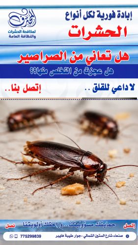 افضل المبيدات لمكافحة الصراصير