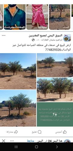 ارض للبيع في صنعاء منطقه الصباحه