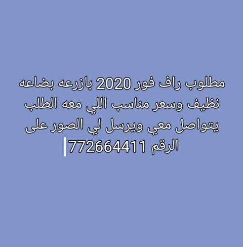 مطلوب راف فور 2020 بازرعه