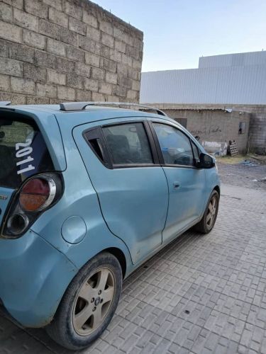 زنجبيل بغبارة