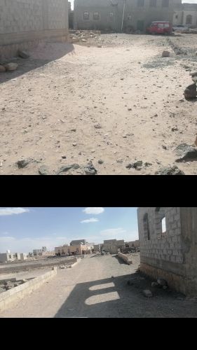 ثلاث لبن حر بسعر ٢ مليون وميه الف