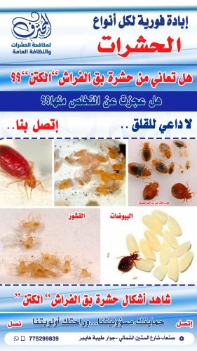 لطلب مكافحة الكتن775299839