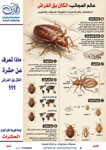 ماذا تعرف عن حشرة الكتن؟؟؟؟