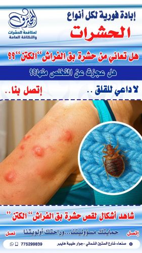 شاهد شكل لقص قبص الكتن بق الفراش