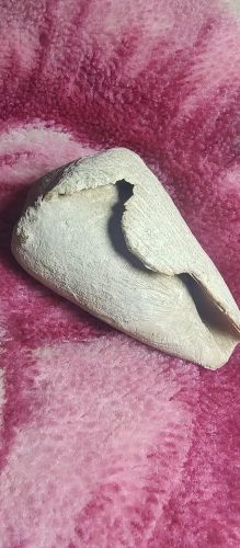حجر مغزل