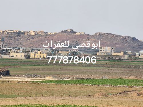 قاع المنقب